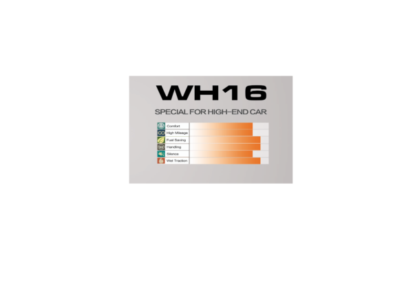 WINDA WH16 ALL SEASON 225/45R17