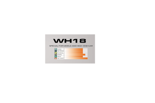 WINDA WH18 ALL SEASON 235/45R18