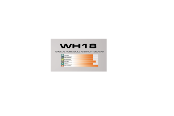 WINDA WH18 ALL SEASON 235/55R18